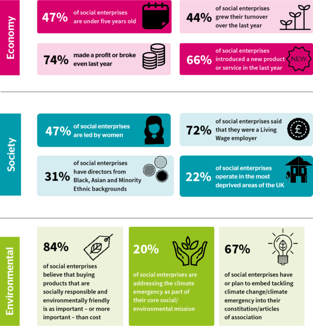 State of Social Enterprise Survey 2021 Key Findings