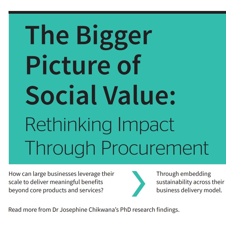 Front cover of the bigger picture of social value